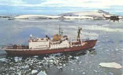 HMS Endurance and Westland Wasp